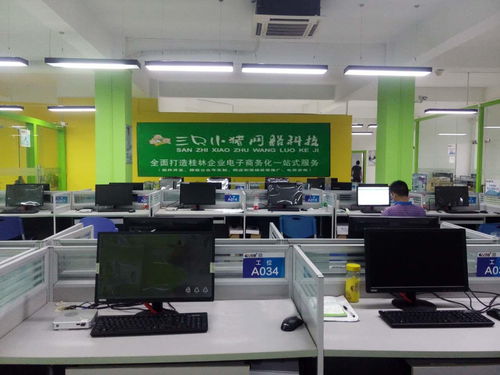 桂林三只小猪网络科技 打造创新网络技术开发解决方案